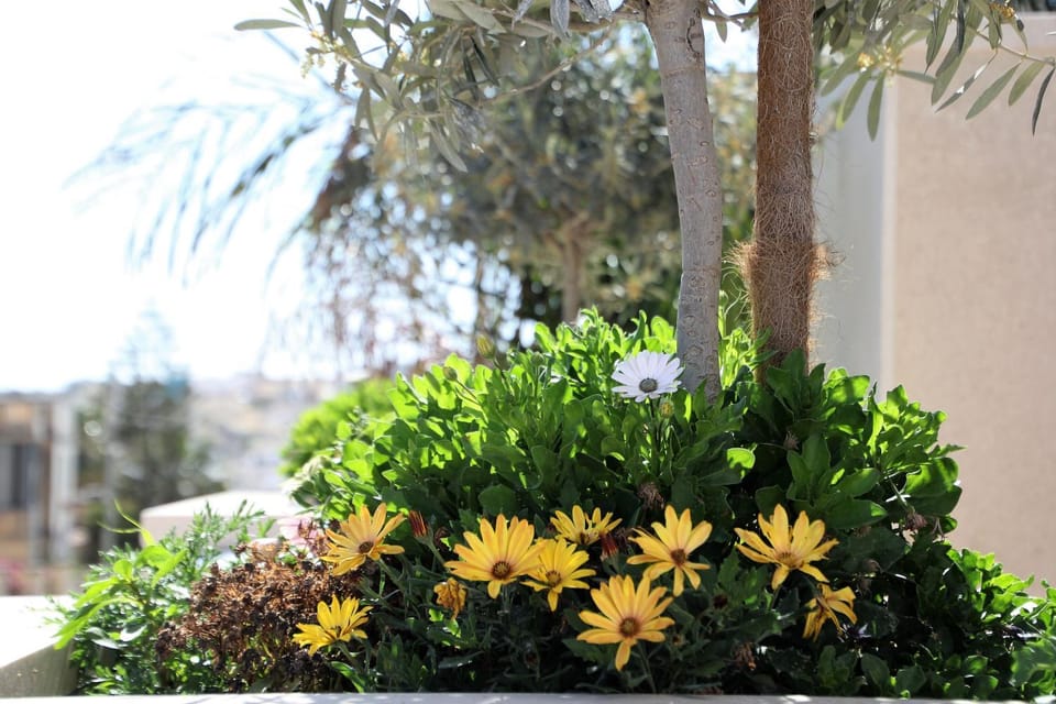 Property building, Garden, Balcony/Terrace, Garden view