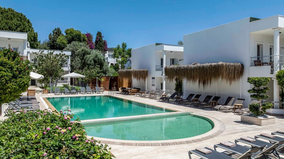 Pool view, Swimming pool