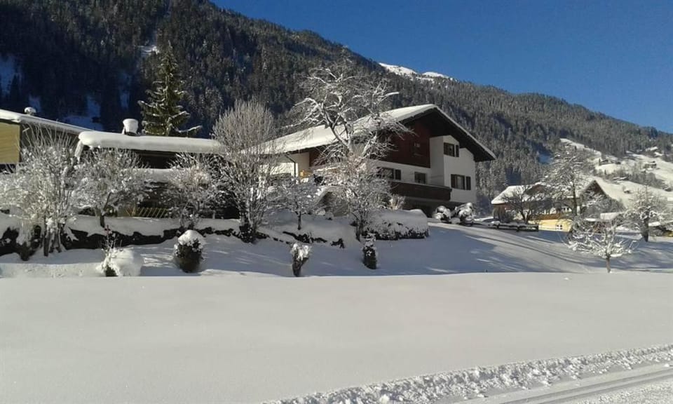 Property building, Winter
