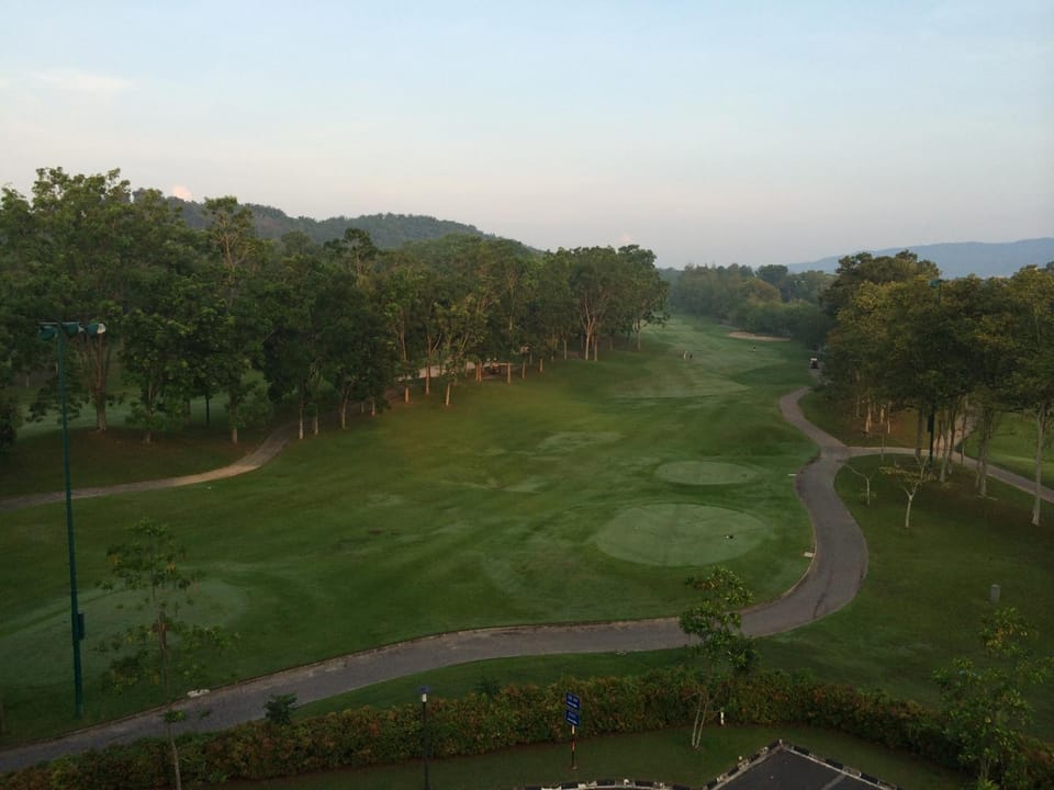 View (from property/room)