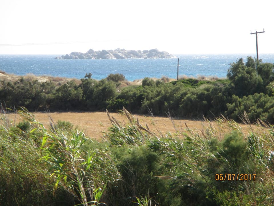 Natural landscape