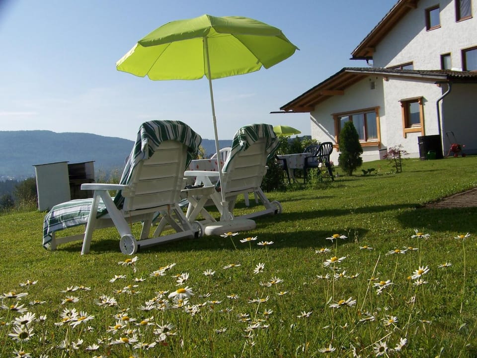 Garden view