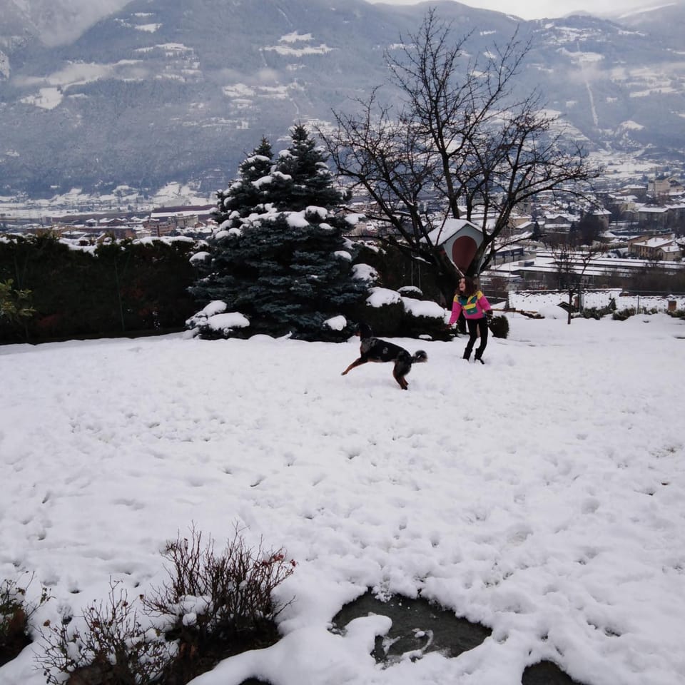 Winter