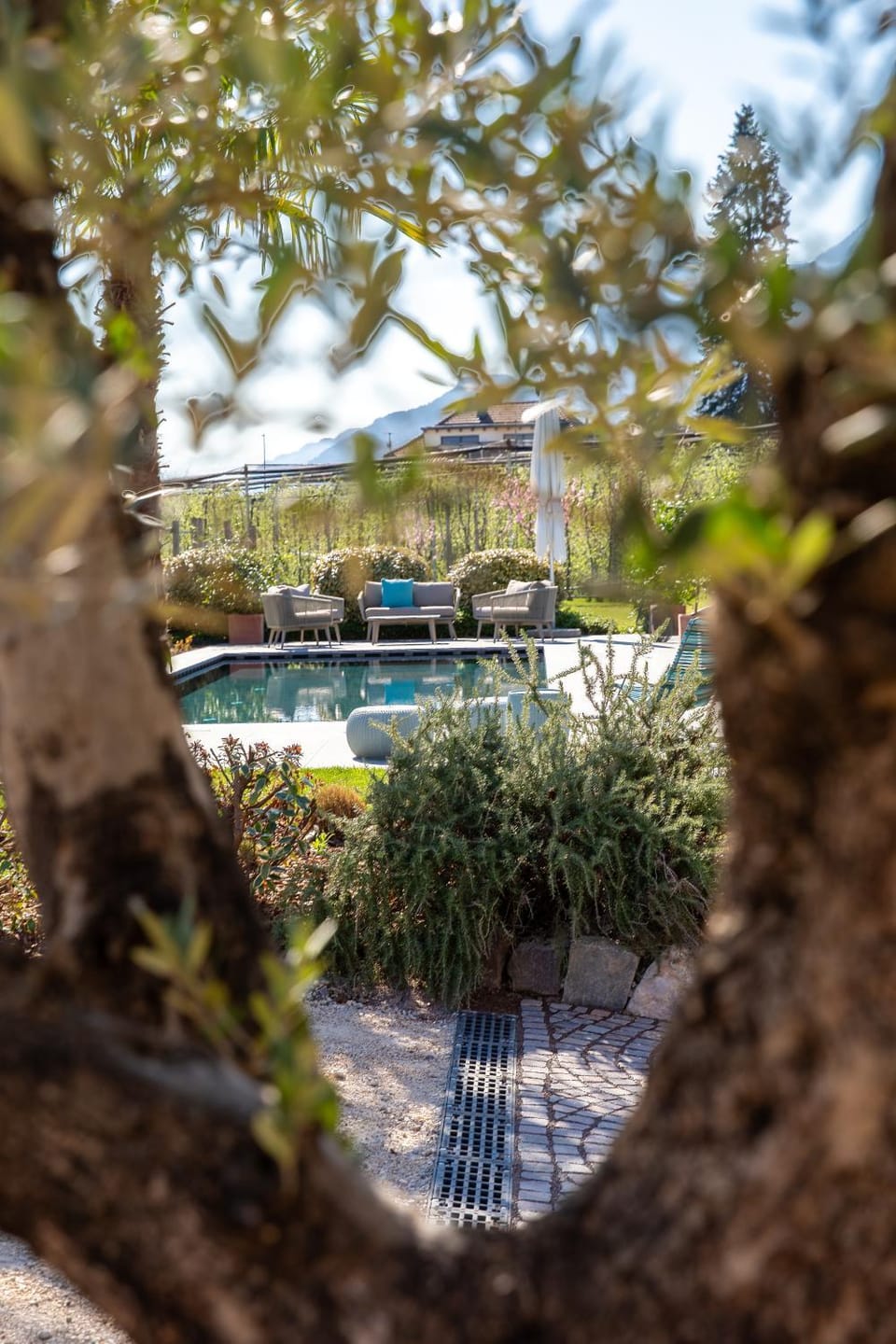 Garden, Garden view, Swimming pool