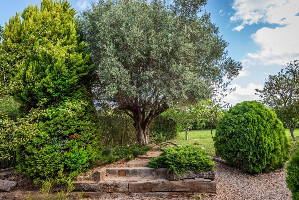 Day, Natural landscape, Garden, Garden view