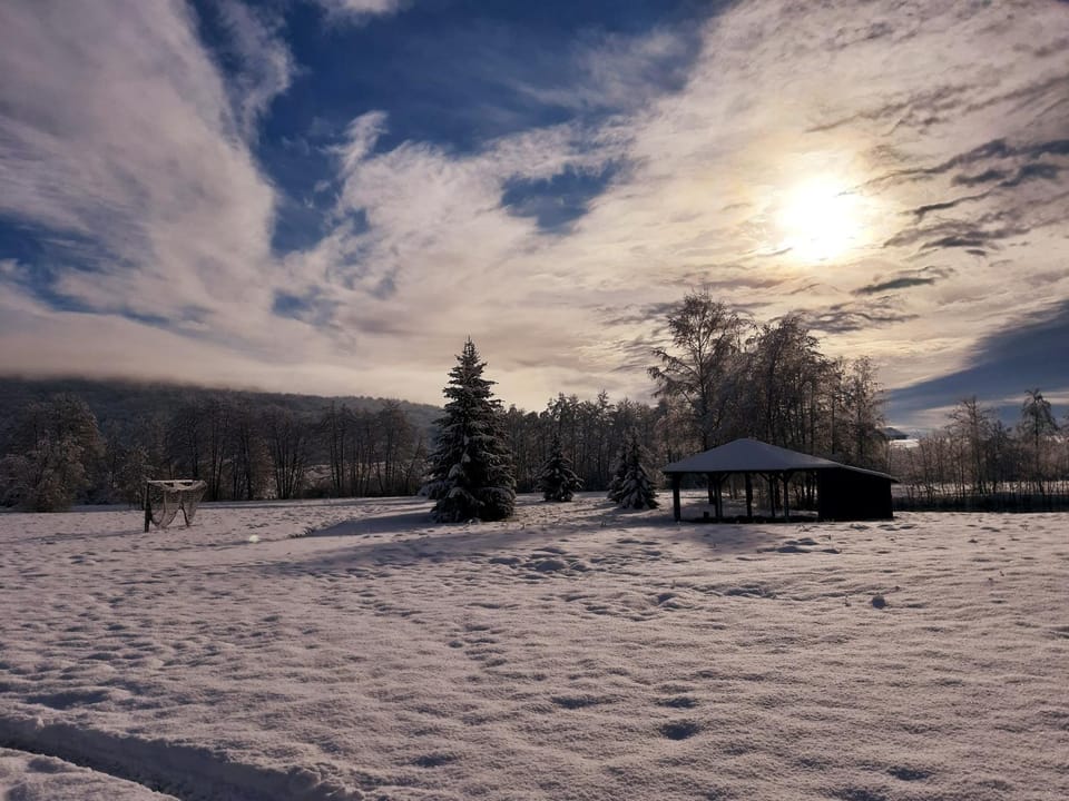 Neighbourhood, Winter