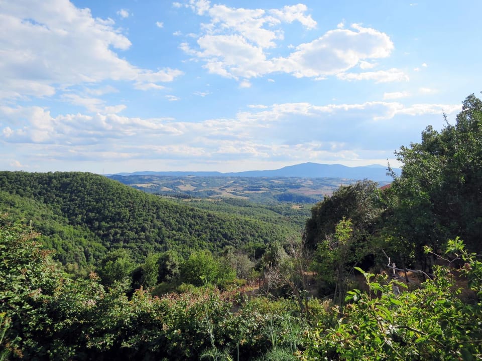 View (from property/room)
