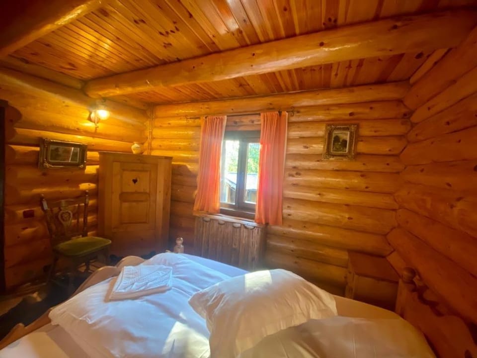 Cabana vânătorului House in Brașov County
