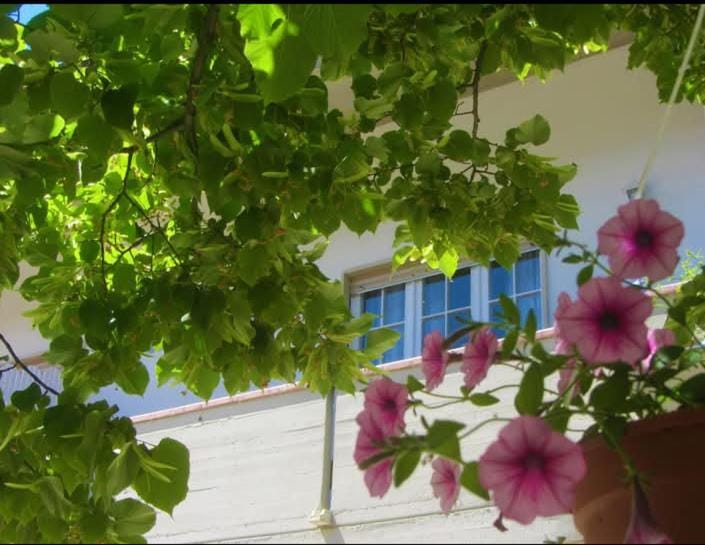 B&B il Country e il Mare Bed and Breakfast in Martinsicuro