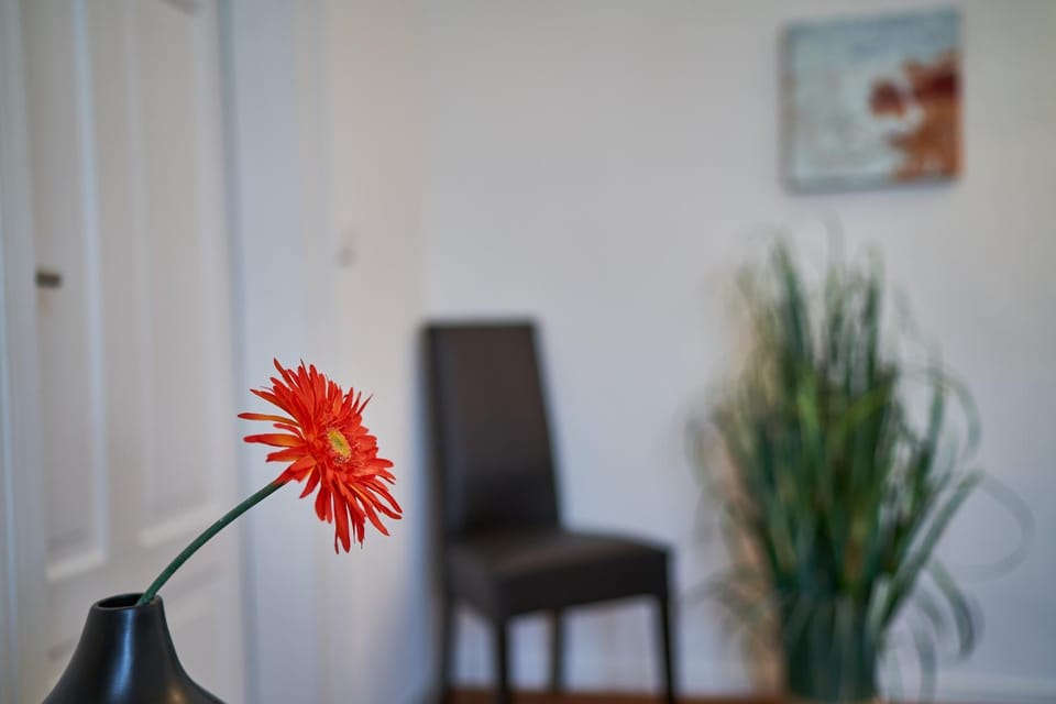 Photo of the whole room, Decorative detail
