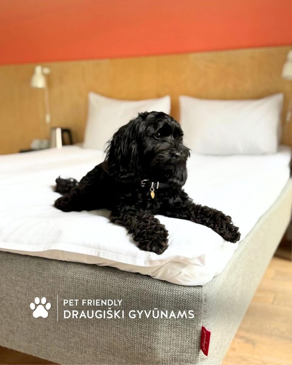 Bedroom, Pets