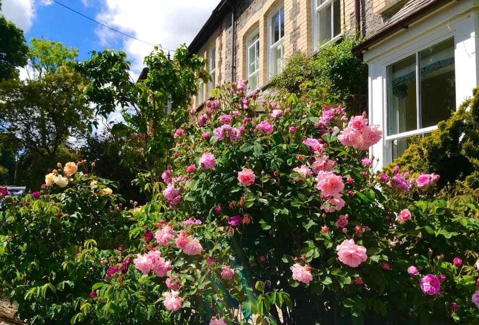 Property building, Garden