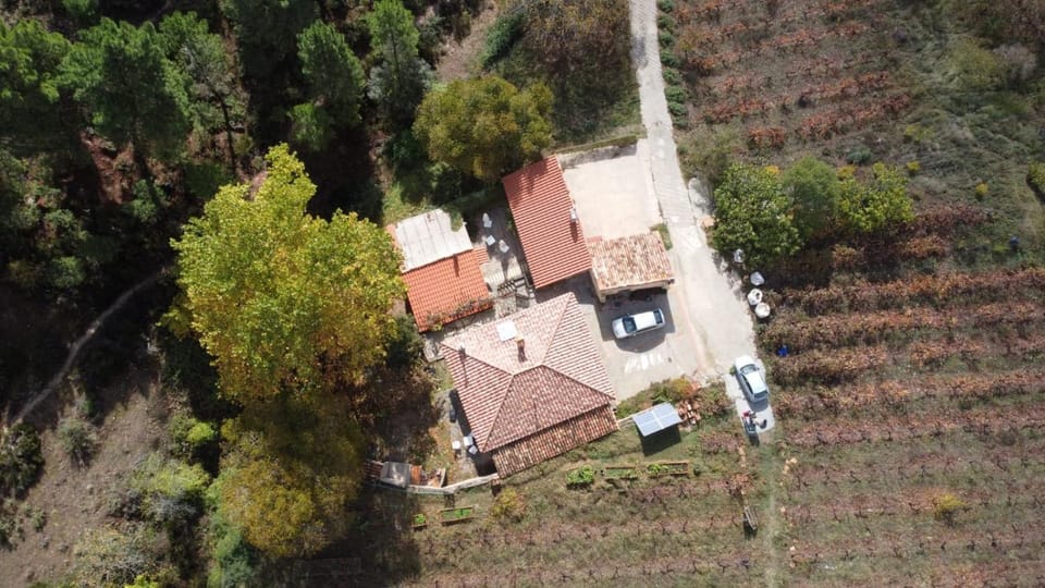 La Limonera Country House in Castile-La Mancha