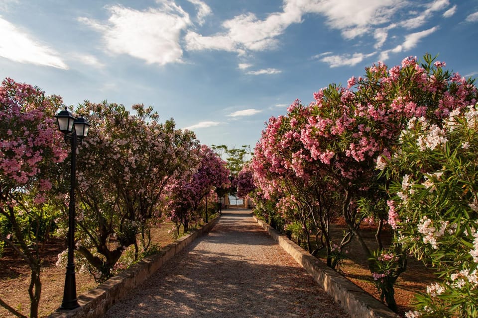 Day, Natural landscape, Garden, Garden view