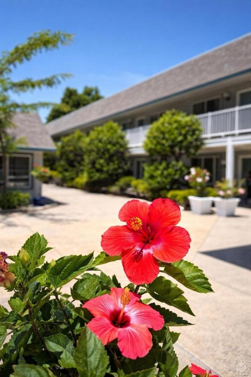 Cape Harbor Motor Inn Motel in Cape May