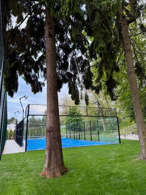 Natural landscape, Garden, Sports