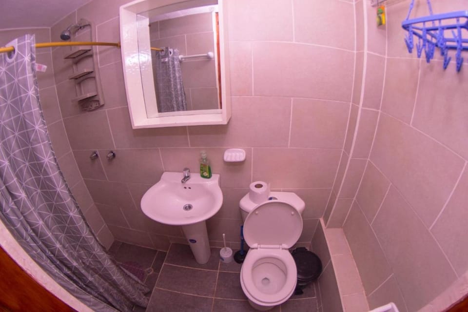Shower, Bathroom, Decorative detail