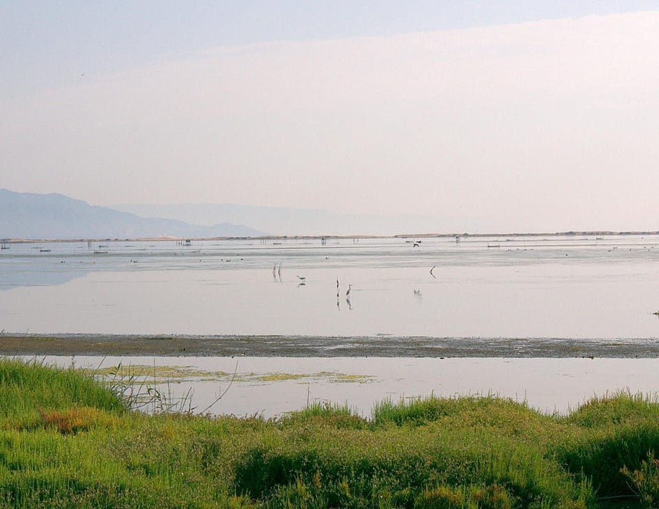 Natural landscape