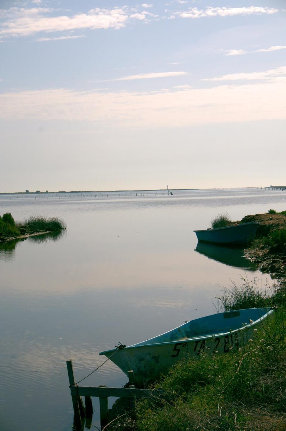 Natural landscape
