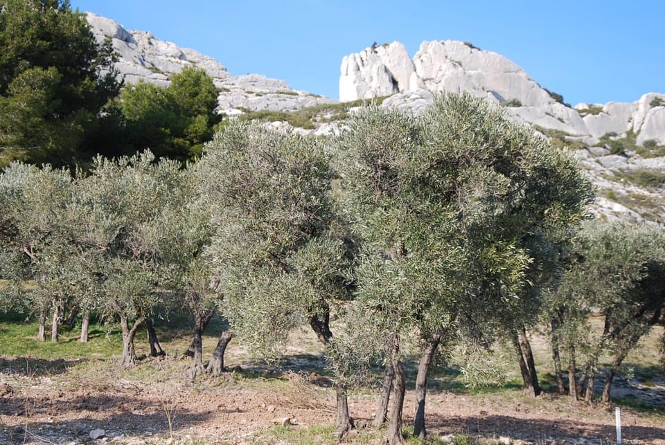Natural landscape