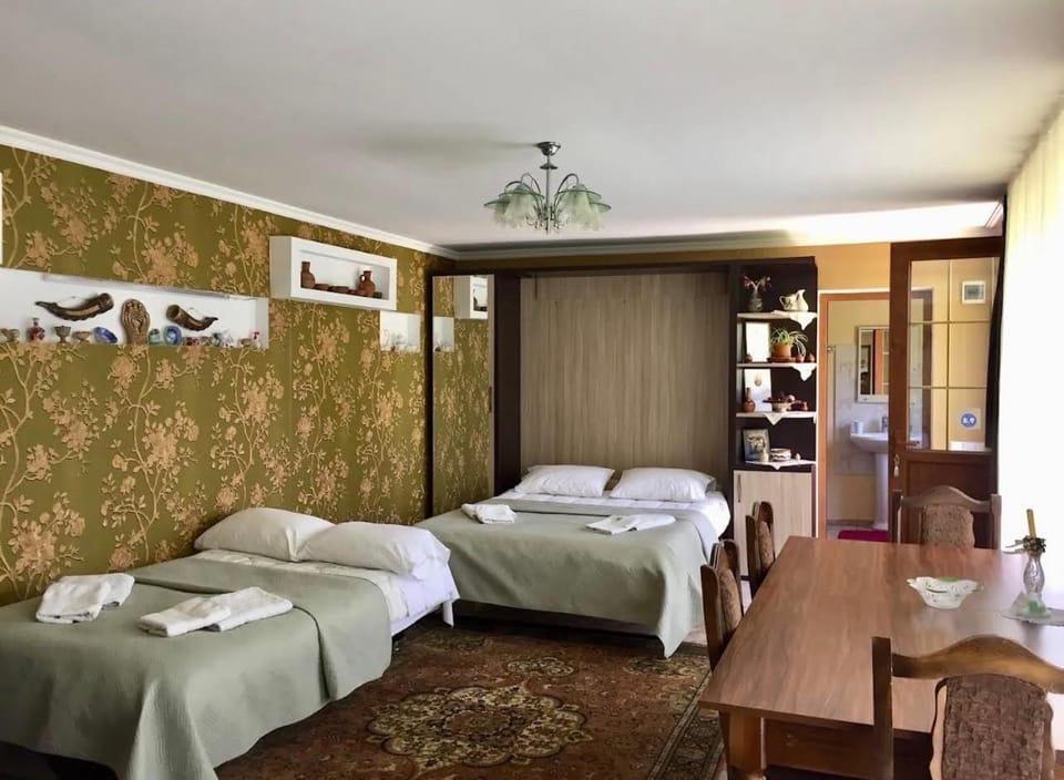 Bed, Living room, Photo of the whole room, Bedroom, towels