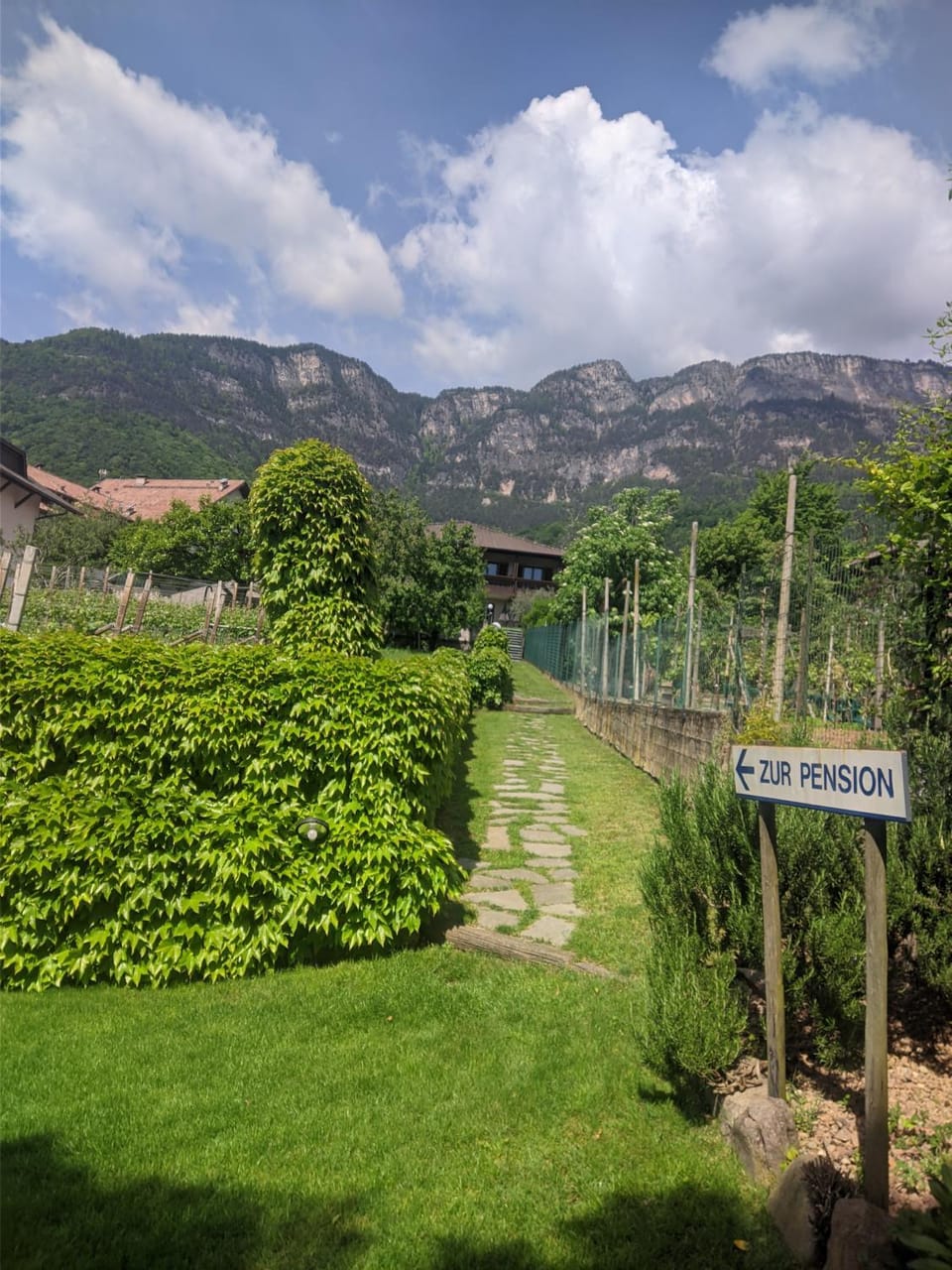 Garden, Swimming pool