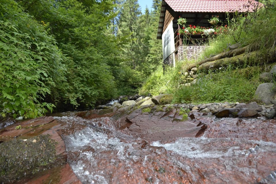 Natural landscape