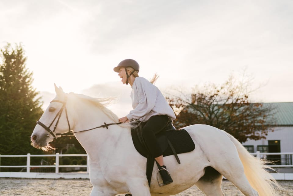 Activities, Horse-riding, Animals