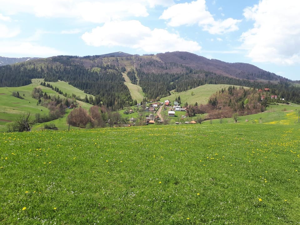 Neighbourhood