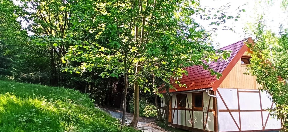 Property building, Spring