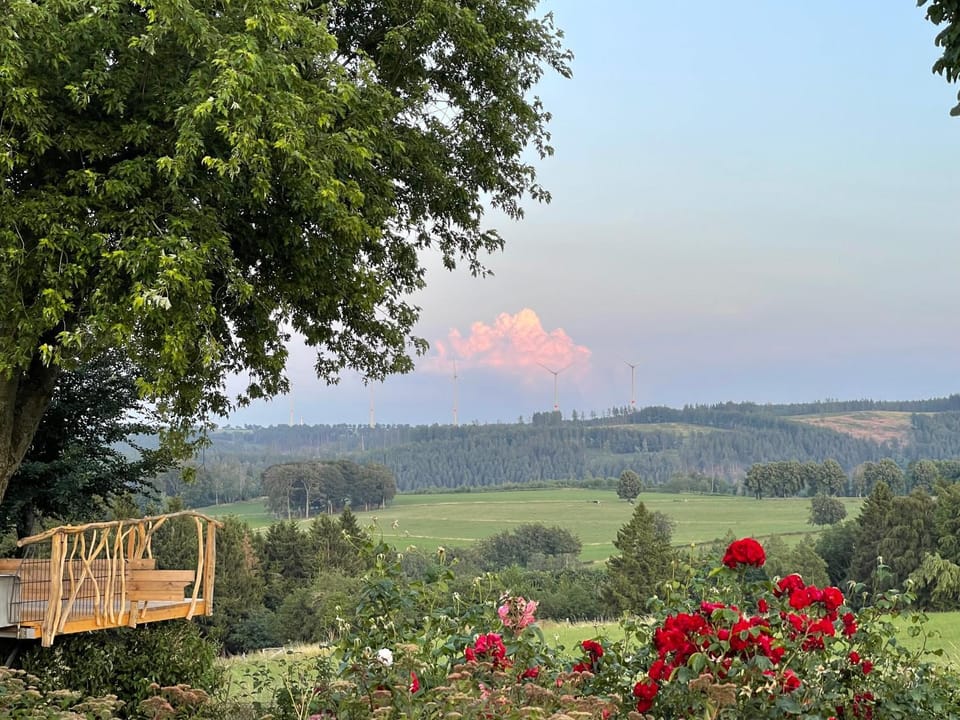 Garden view