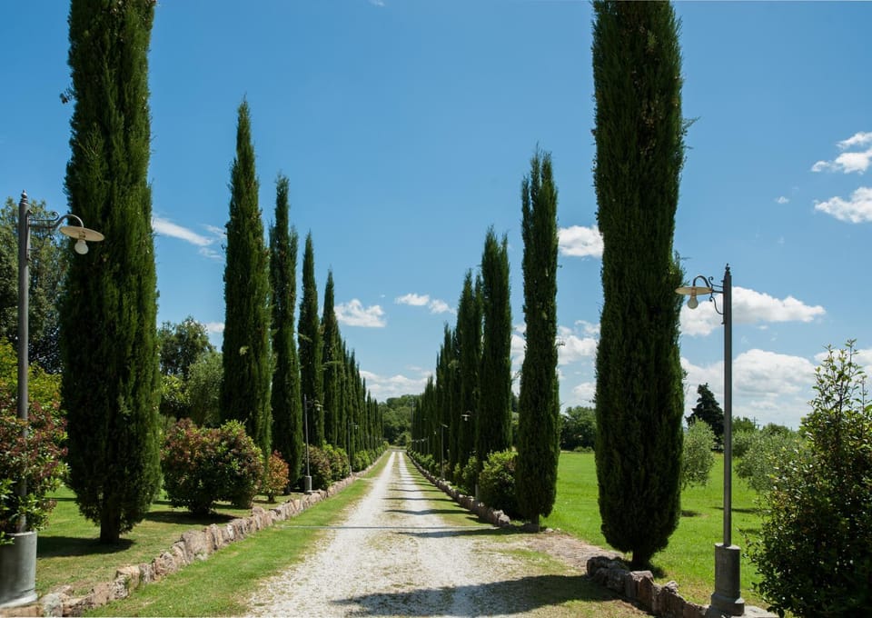Property building, Facade/entrance, Garden, View (from property/room), Garden view, Street view