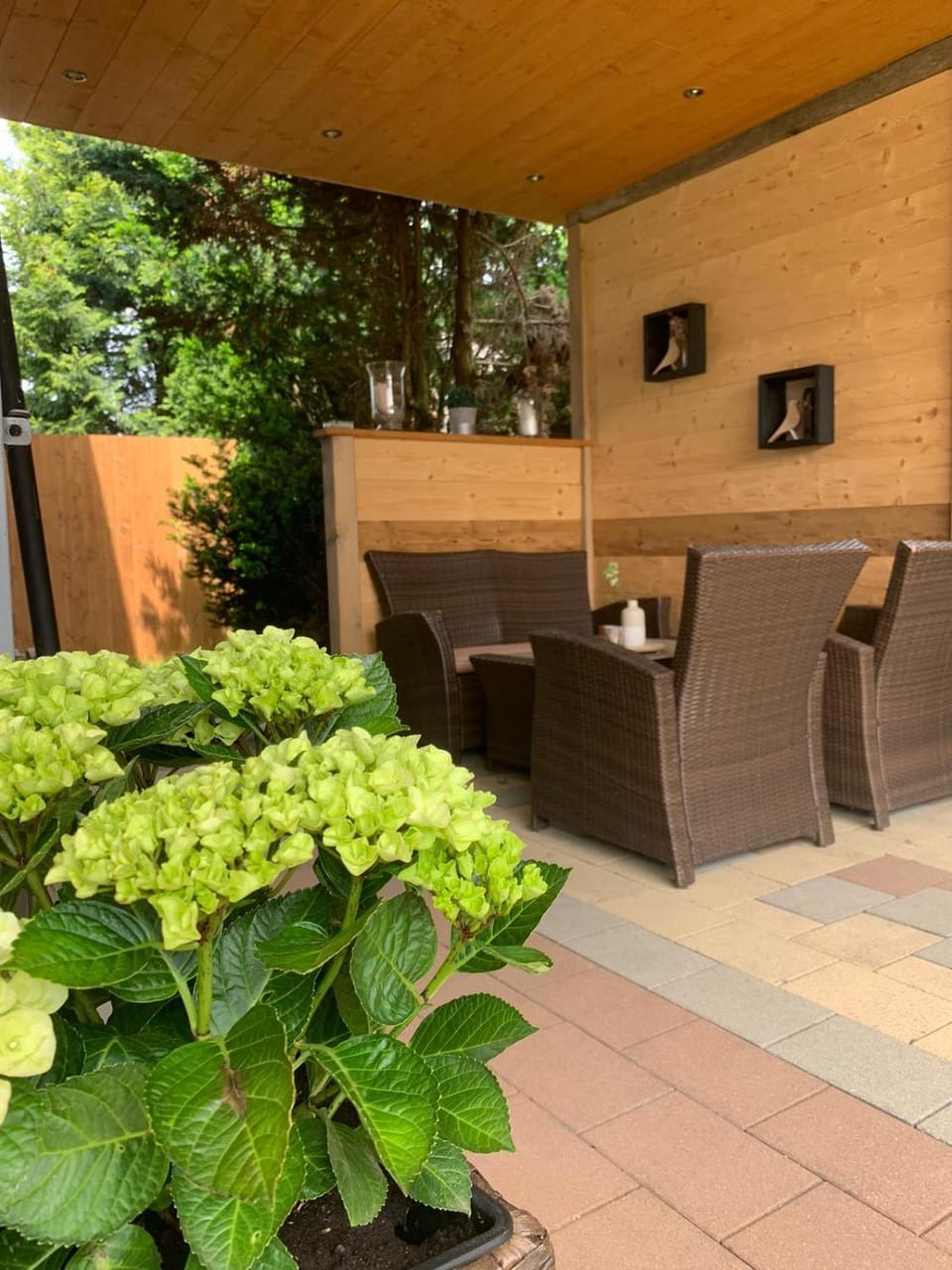 Patio, Balcony/Terrace