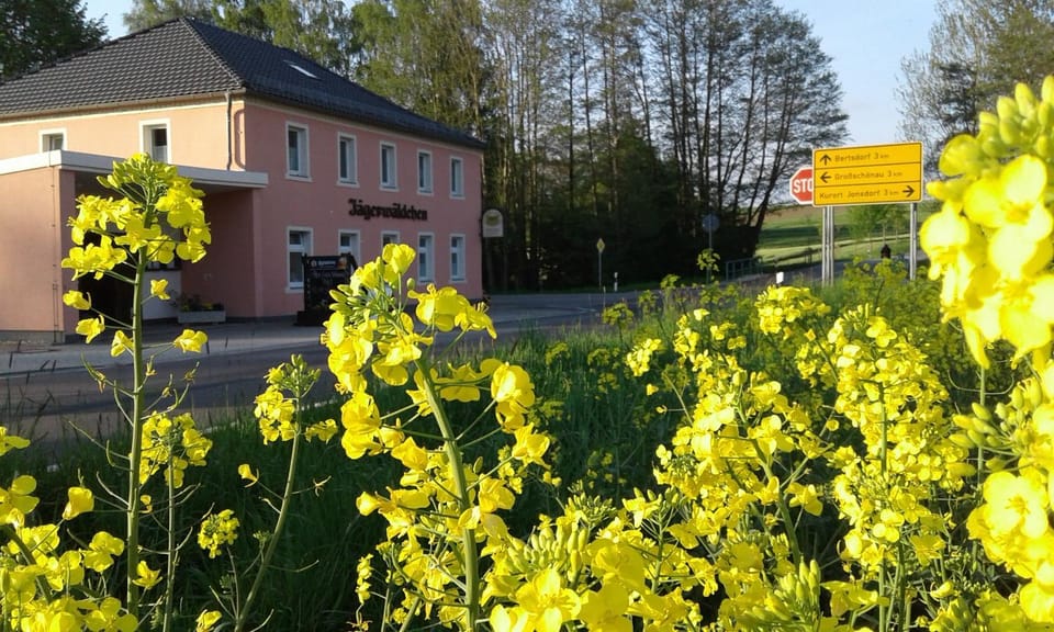 Facade/entrance, Spring