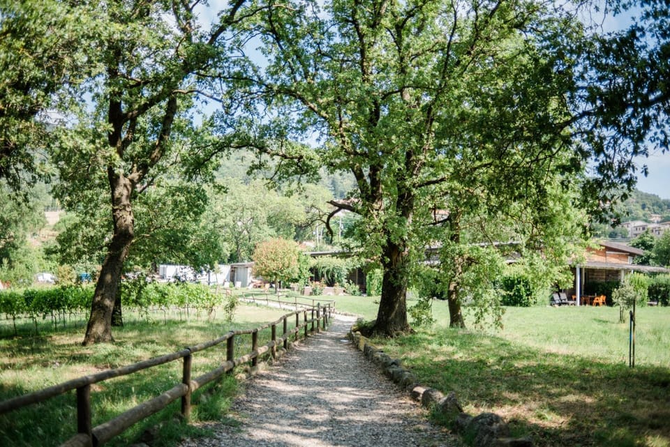 Property building, Day, Natural landscape, Garden, Garden view
