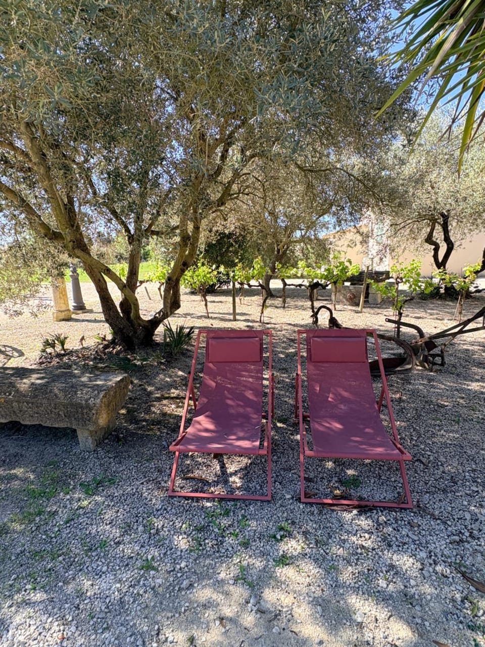 Garden, sunbed