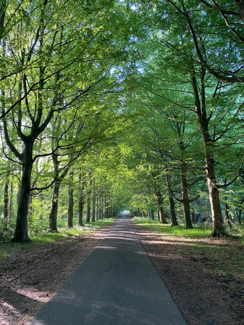 Neighbourhood, Natural landscape