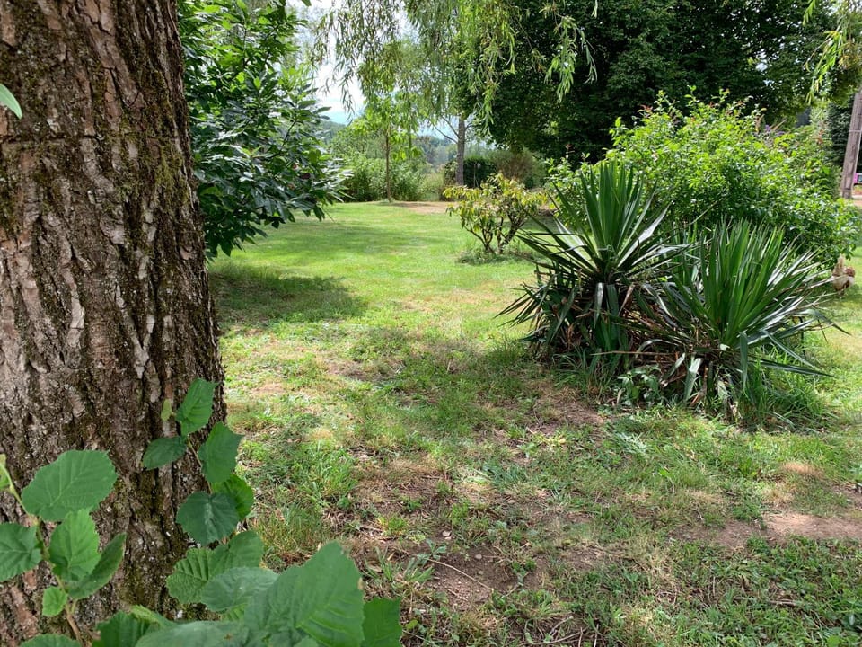 Natural landscape, Garden view