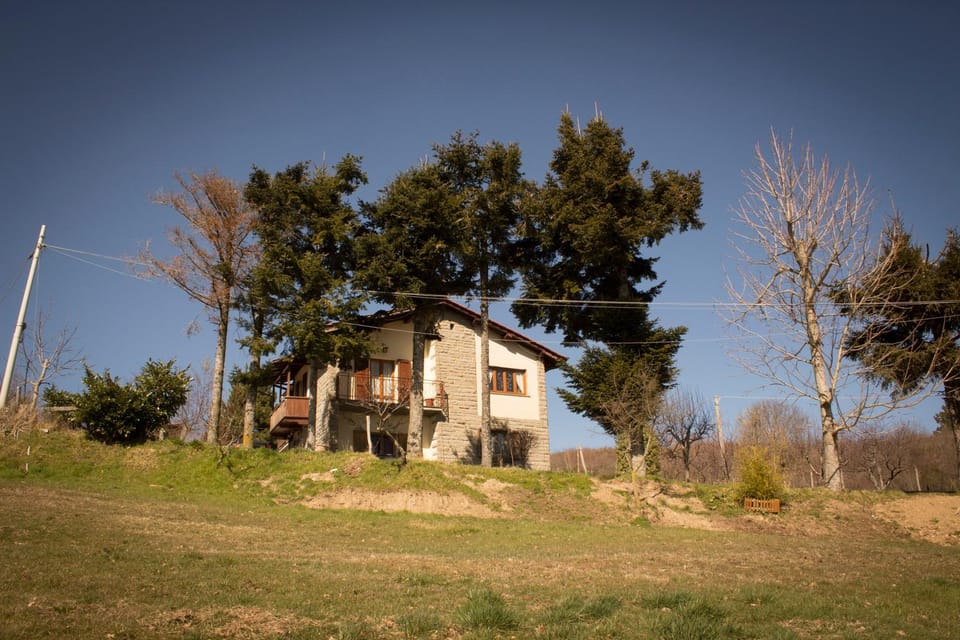 Property building, Nearby landmark, Restaurant/places to eat, People, Natural landscape, Hiking, Cycling, Pets, Landmark view, Mountain view
