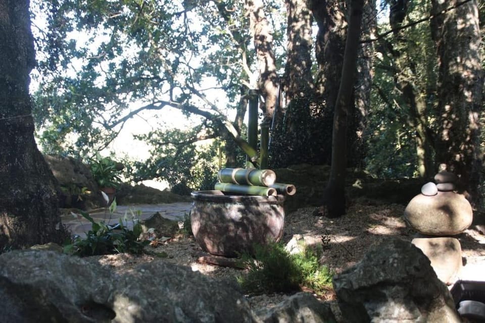 Los Acebos de Peña Cabarga, Cúpula experiencias Apartment in Cantabria