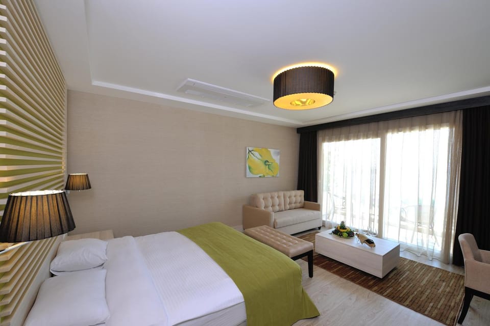 Bed, TV and multimedia, Coffee/tea facilities, Balcony/Terrace, Kitchen or kitchenette, Photo of the whole room, minibar, safe