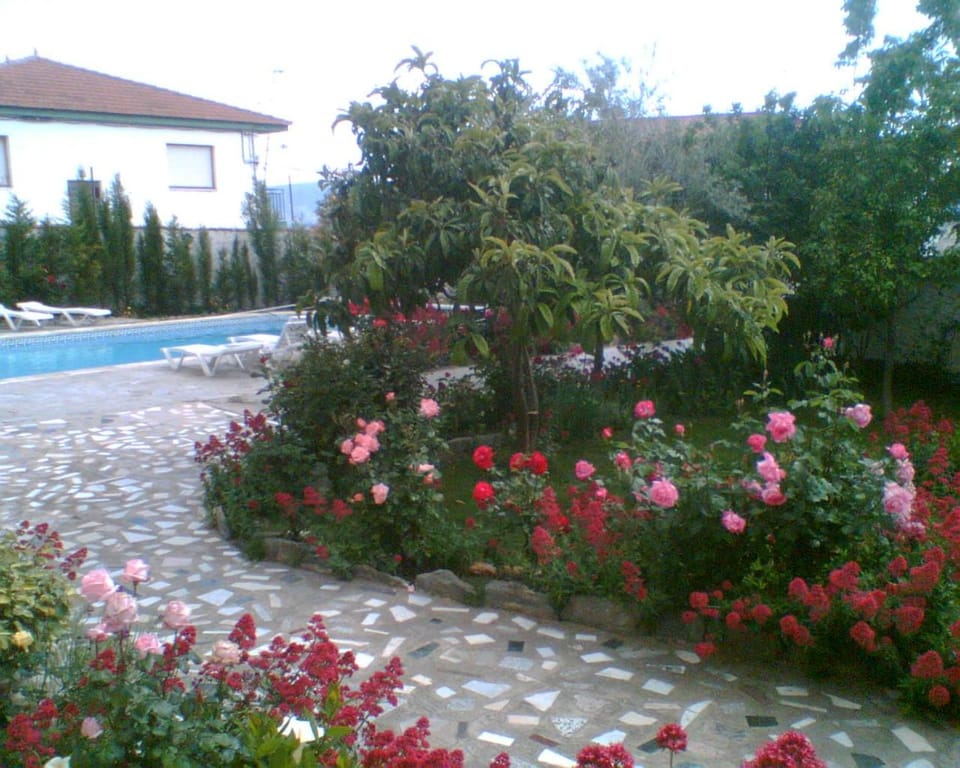 Garden, Swimming pool
