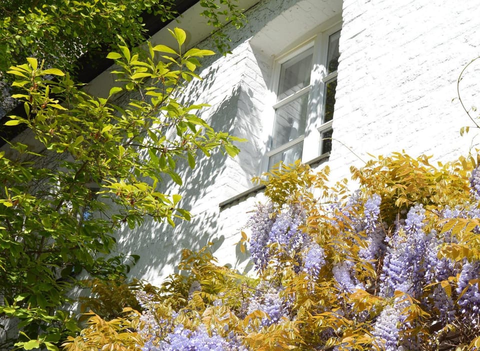 Property building, View (from property/room), City view, Garden view, Inner courtyard view