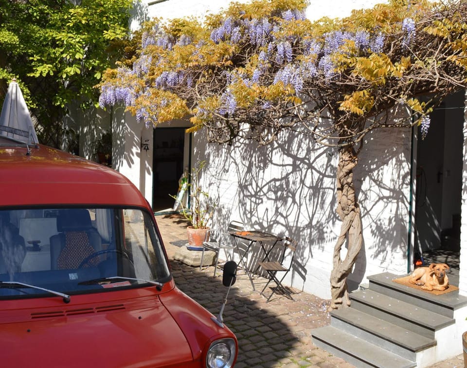 Property building, Patio