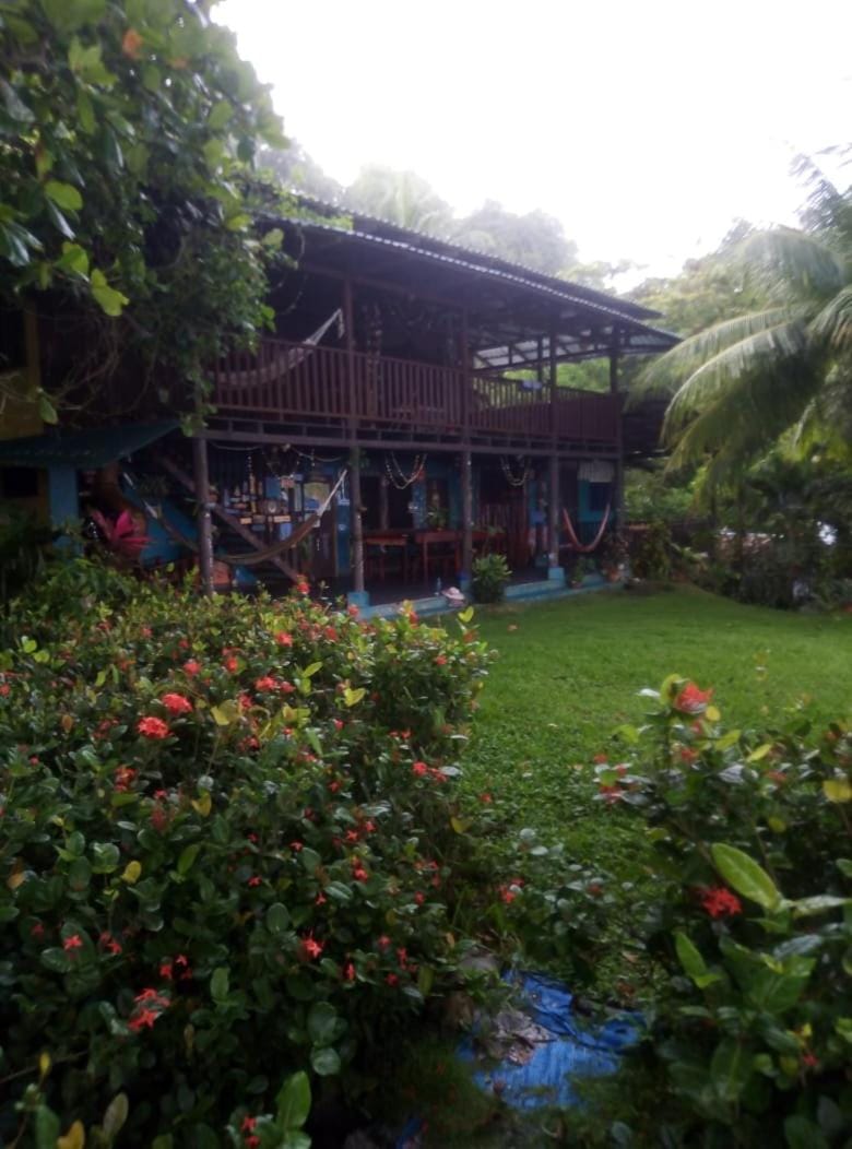 Natural landscape, Garden, Garden view