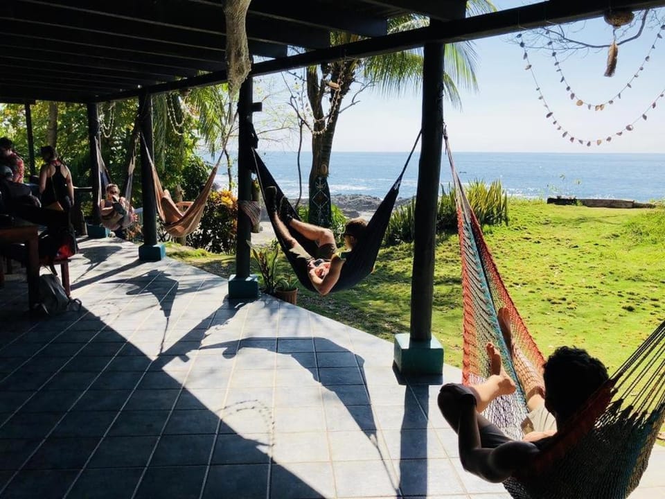 Day, Natural landscape, Garden, View (from property/room), Balcony/Terrace, Garden view, Sea view, group of guests