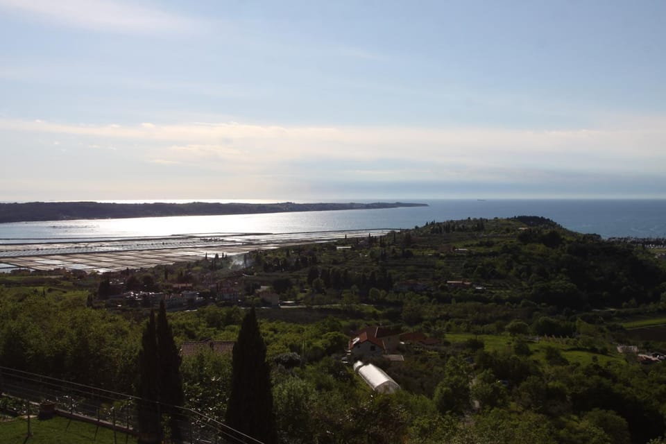 City view, Sea view
