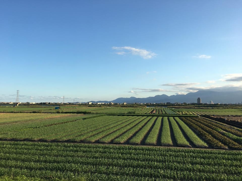 Natural landscape