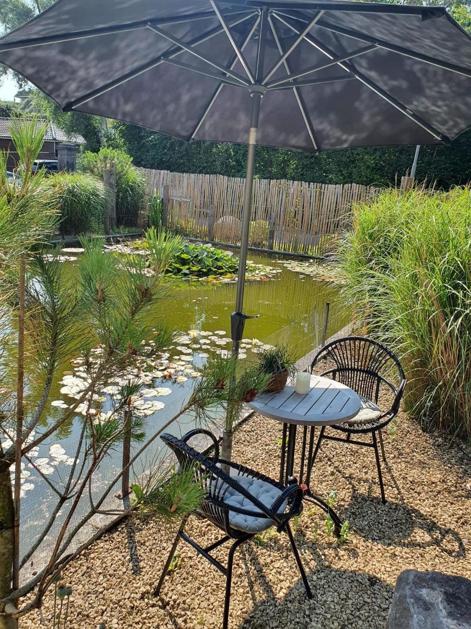 Property building, Patio, Garden