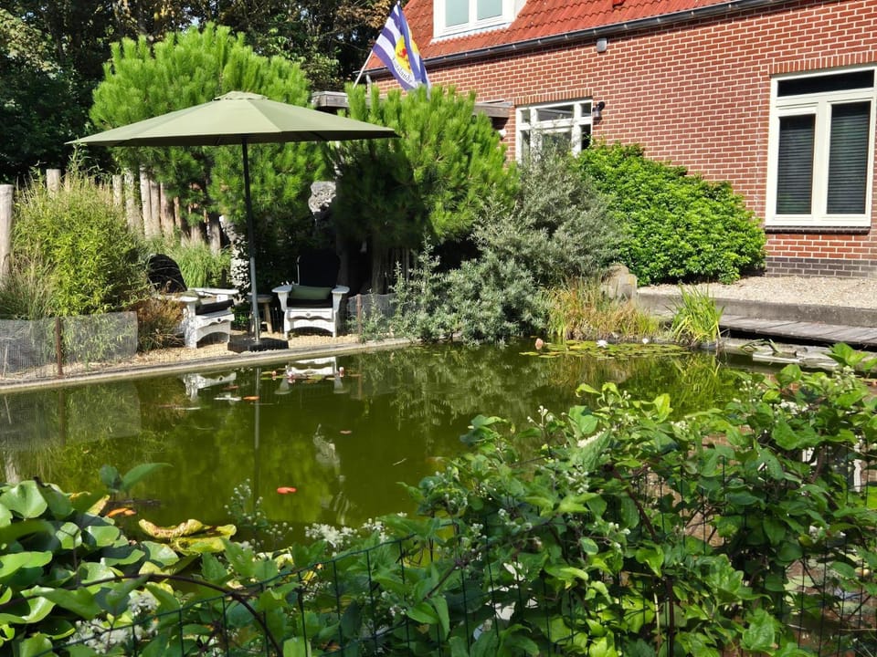 Garden, Garden, Garden view, Garden view